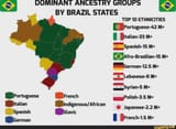 dominant-ancestral-groups-by-states-in-brazil-grupos-v0-azywtxldat3d1