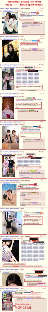 asian memeflags1