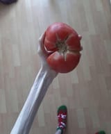 hiki holding a fresh veggie from his garden