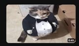thumbnail_that_i_found_on_youtube__38_by_shincreatorofficial_dg1x5p4-375w-2x
