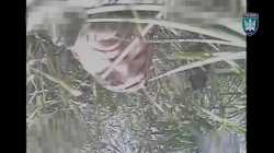 1752512914416716_thumb.jpg