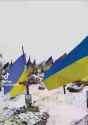 ukraine is dying_thumb.jpg