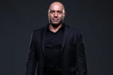 joe-rogan