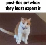 1700930973829336