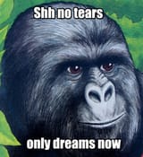 notears
