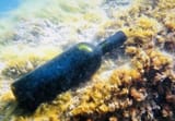 underwater wine