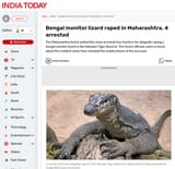 jeetrapevictim