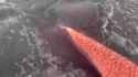 1592345263847_thumb.jpg