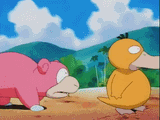 slowpoke