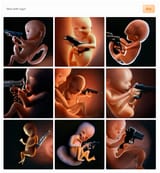 fetus-with-a-gun