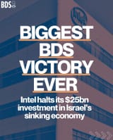 bds_w