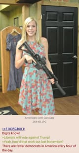Americans Love Guns