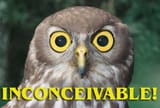 zzinconceivablelo2
