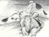 MutantCows-Expedition