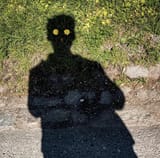 1683081071668238