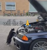 Cat fix BMW