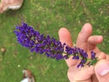 IMG_1880
