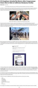 Screenshot 2025-07-15 at 02-11-40 ICE Employee Attacked[...]