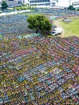 bike dump 6