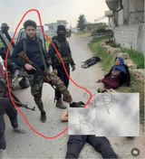 alawite-dog