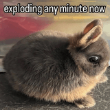 speed