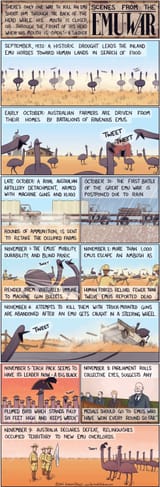 emu war