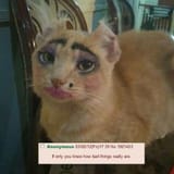 transcat