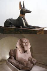 un_jackal