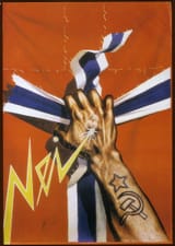 Harald-Damsleth-NEI-FN
