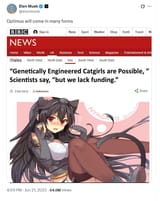 Optimus Cat Girls