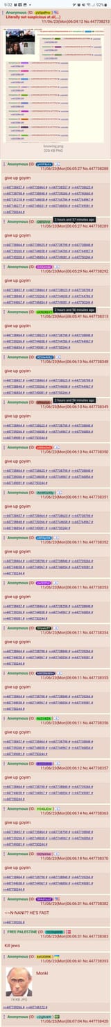 1733306593769181