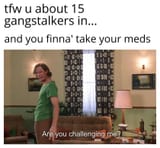 Are-You-Challenging-Me