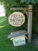 egg self serve