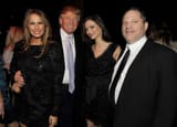 Harvey Weinstein