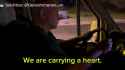 During the Russian attack on Kyiv on July 10, Ukrainian surgeon Borys Todurov and his team performed a child heart transplant. 14-07-2025 HD_thumb.jpg