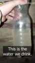 This is the water we drink. Its murky and bitter, but thank God we at least have that. 14-07-2025 Russian soldier shows water from a pond they have to drink HD_thumb.jpg