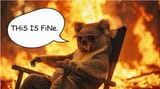 this_is_fine