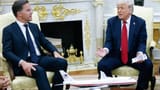 Rutte-Trump