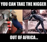 youcantaketheniggeroutofafrica