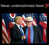--Newt-Gingrich--