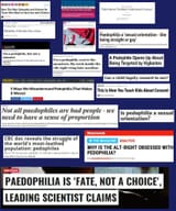 Groomer Propaganda6