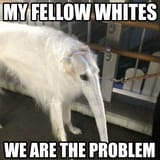 1738863039968423