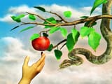 istockphoto-1256177926-612x612