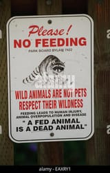 sign-in-stanley-park-vancouver-to-ask-people-not-to-feed-wild-animals-eaxry1