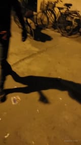 indian holds on to firecracker for some fucking reason seriously why even for india