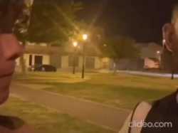 petal_20250715_181009_thumb.jpg