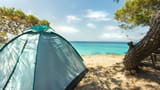 ocean camping