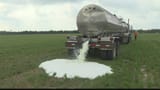 Milk dump