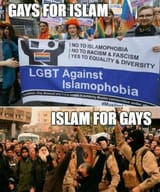 gays for islam and islam for gays