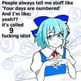 cirno numbered days